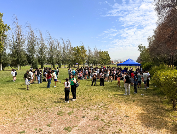 Actividad de la TAV 2024